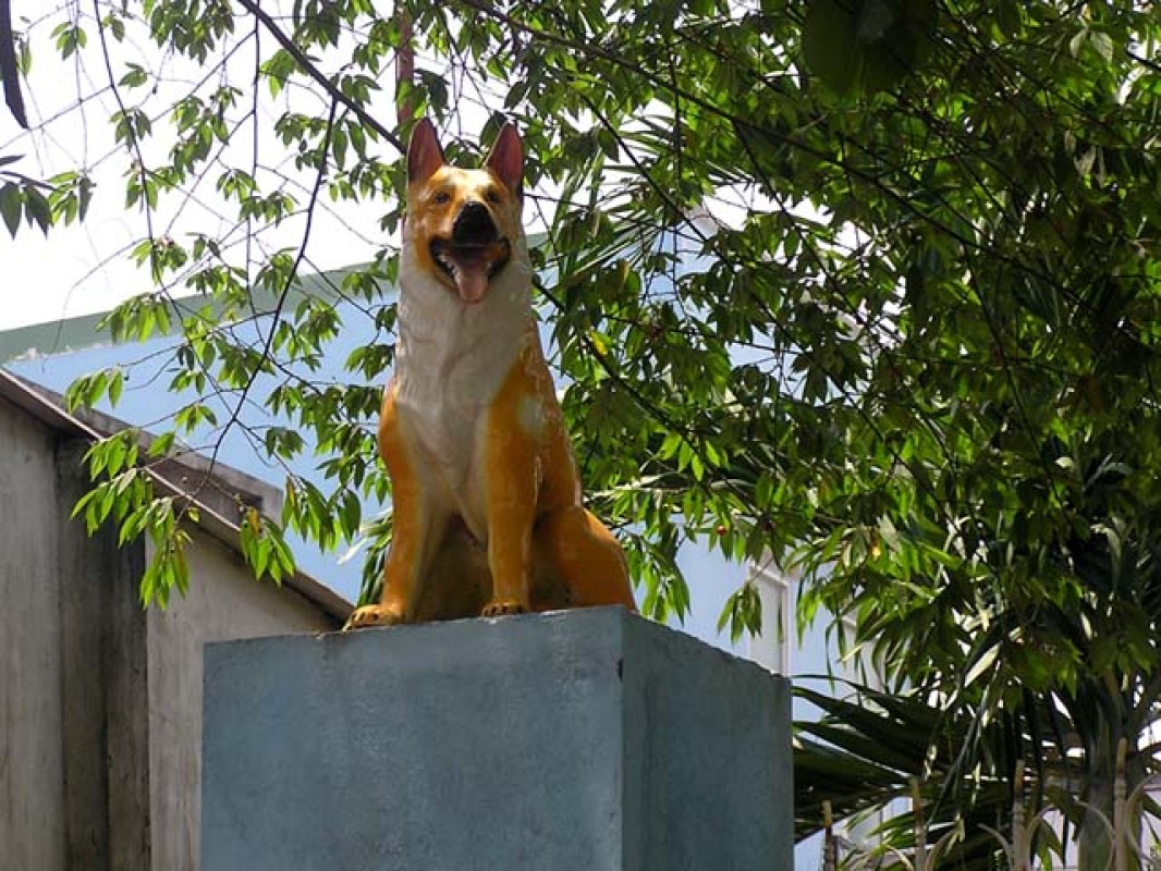 🦁 Каменные стражи: Загадка вьетнамских домов и их символика