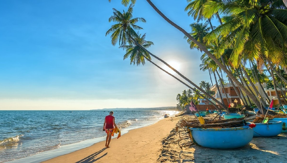 🔥 Почему россияне выбирают Вьетнам для «зимовки»?